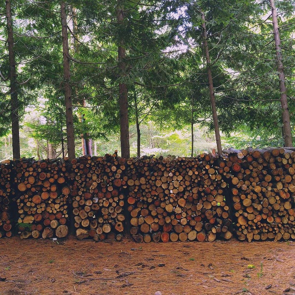 Pine and hardwood round logs